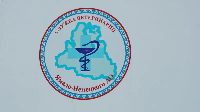 Фото: Андрей Ткачев / «Ямал-Медиа»