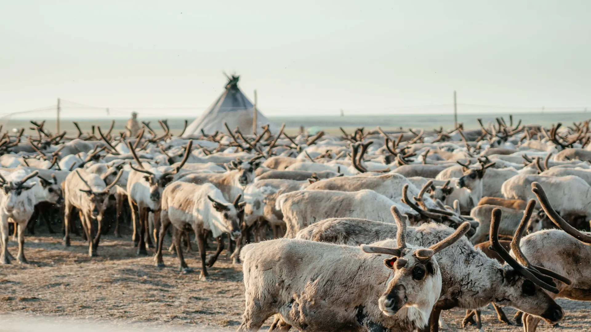 Фото: Юлия Чудинова / «Ямал-Медиа»
