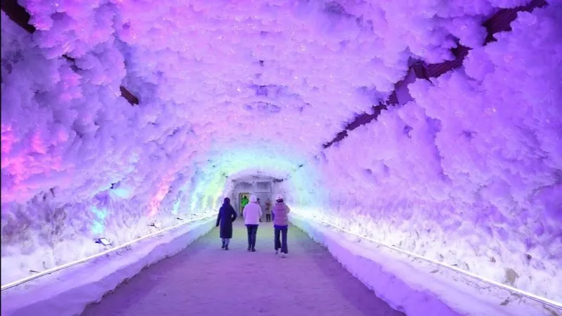 Фото: Андрей Ткачев / «Ямал-Медиа»