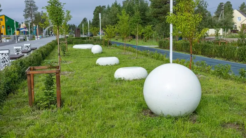 Фото: Федор Воронов / «Ямал-Медиа»