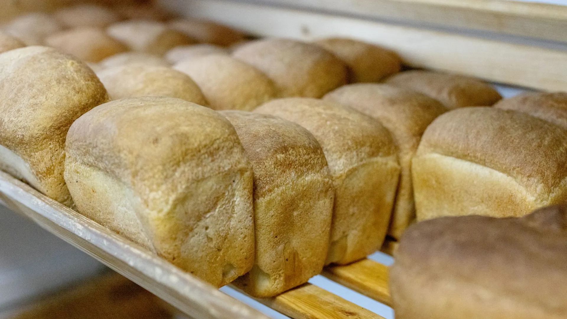 Фото: Сергей Зубков / «Ямал-Медиа»