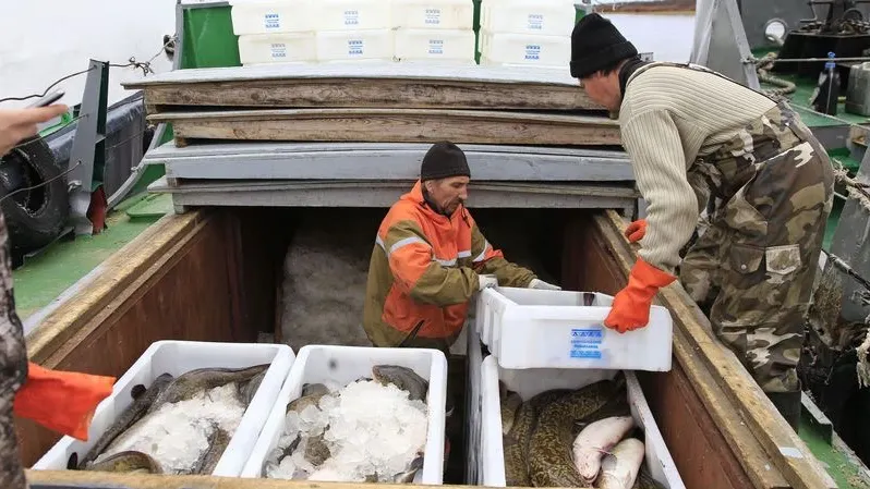 Фото: Андрей Ткачев / «Ямал-Медиа»