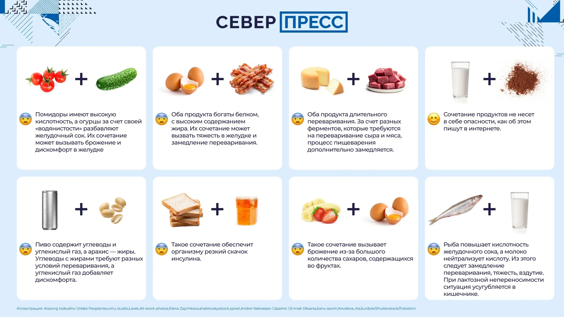 Инфографика Татьяны Бояриновой / «Ямал-Медиа»