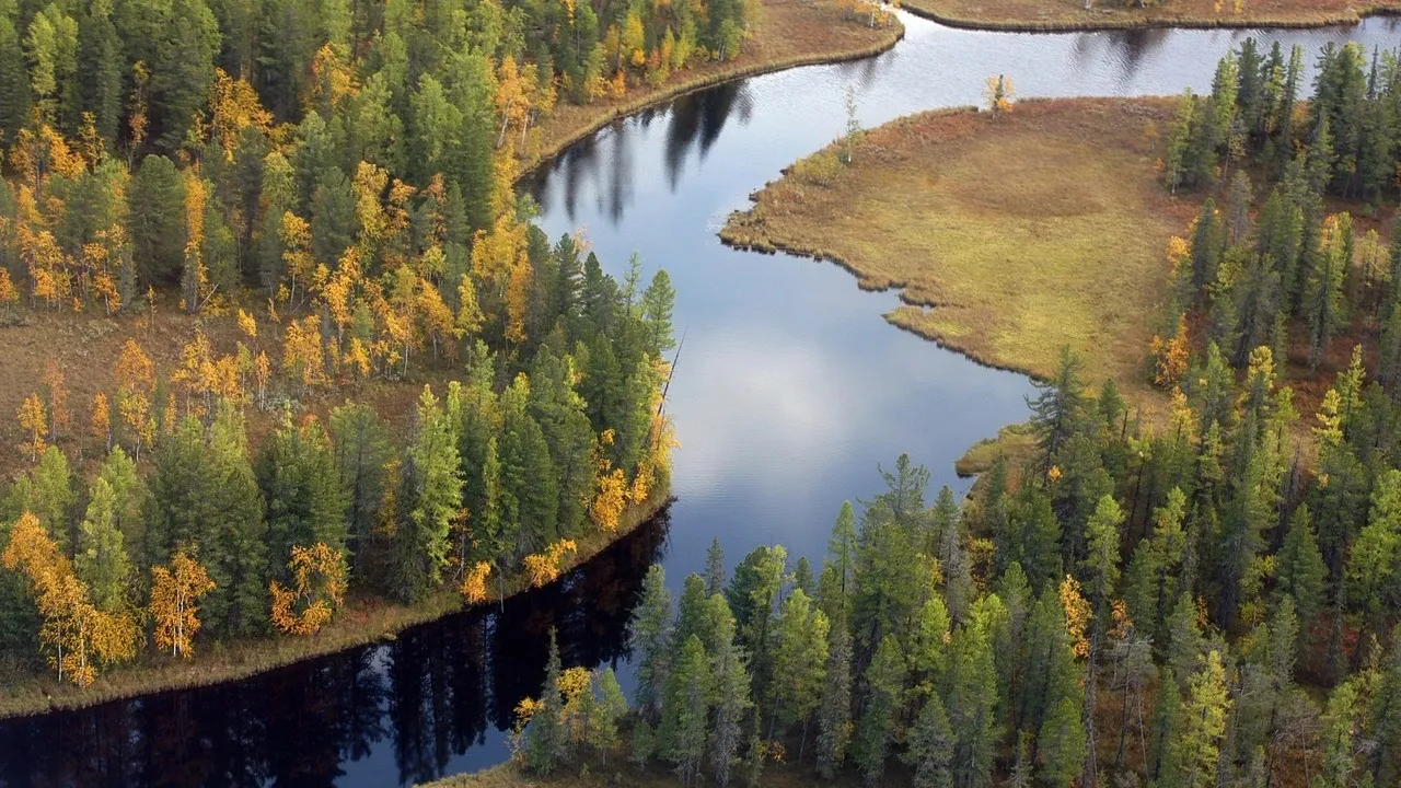 Фото предоставлено пресс-службой губернатора ЯНАО