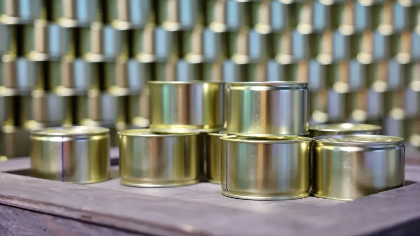 Фото: Андрей Ткачев / «Ямал-Медиа»