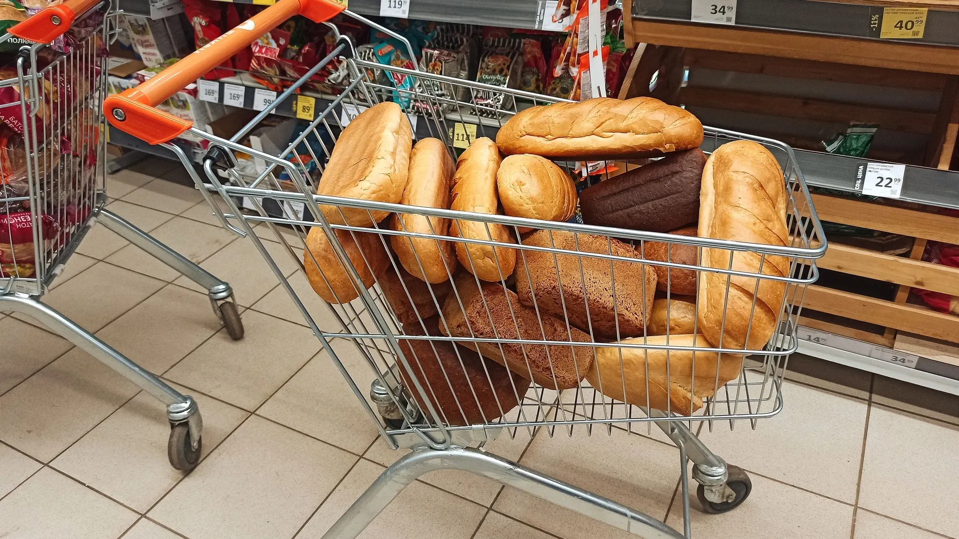 Фото: Elena Vorman/Shutterstock/Fotodom