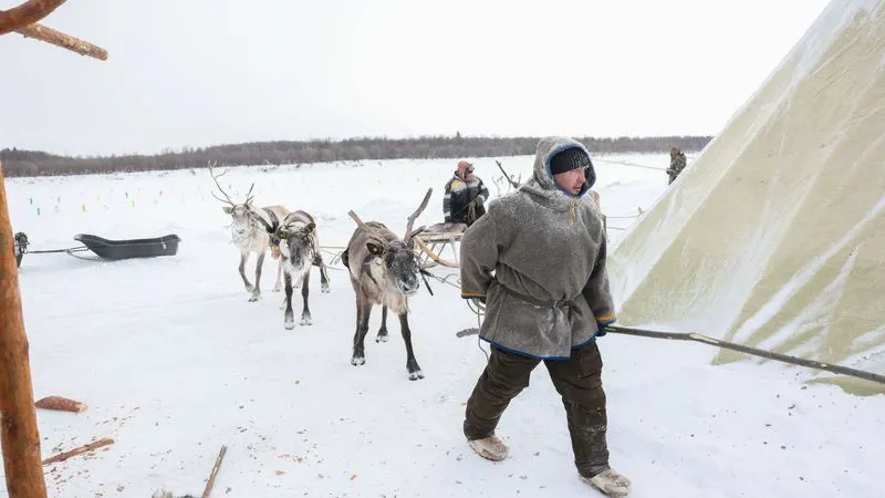 Фото: Юрий Матяш / «Ямал-Медиа»