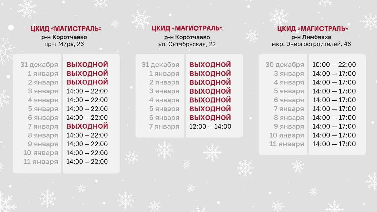 Фото: администрация Нового Уренгоя / vk.com/nuryanaoru