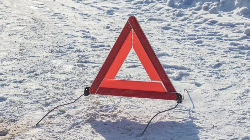 Фото: Siarhei Kuranets / Shutterstock / Fotodom