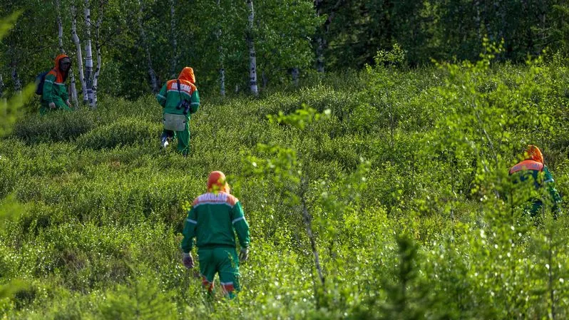 Фото: Федор Воронов / «Ямал-Медиа»