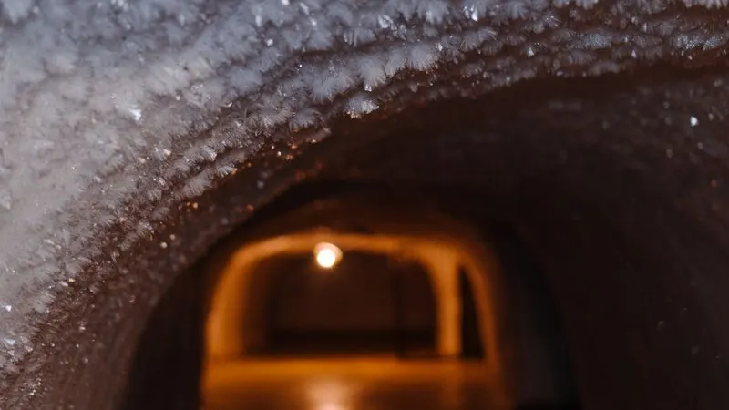 Фото: Юлия Чудинова / «Ямал-Медиа»