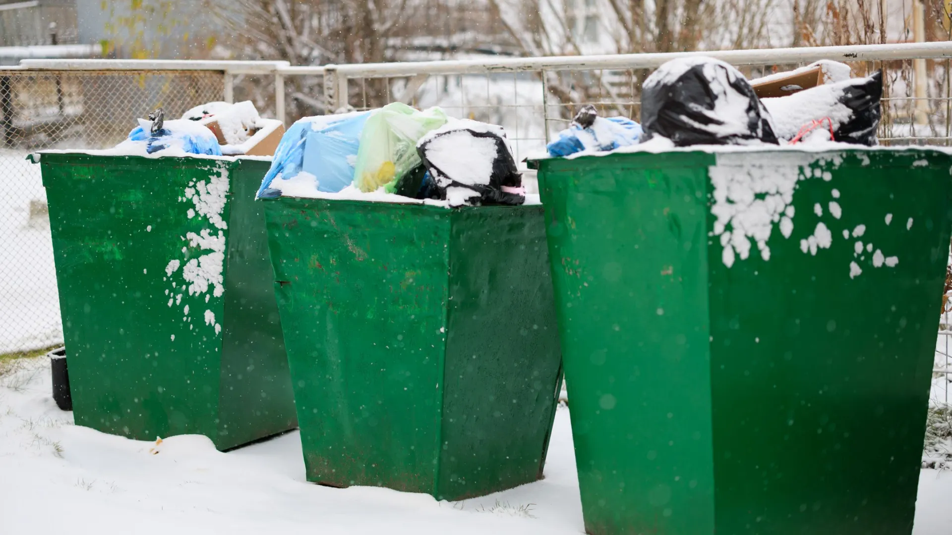 Фото: Юлия Чудинова / «Ямал-Медиа»