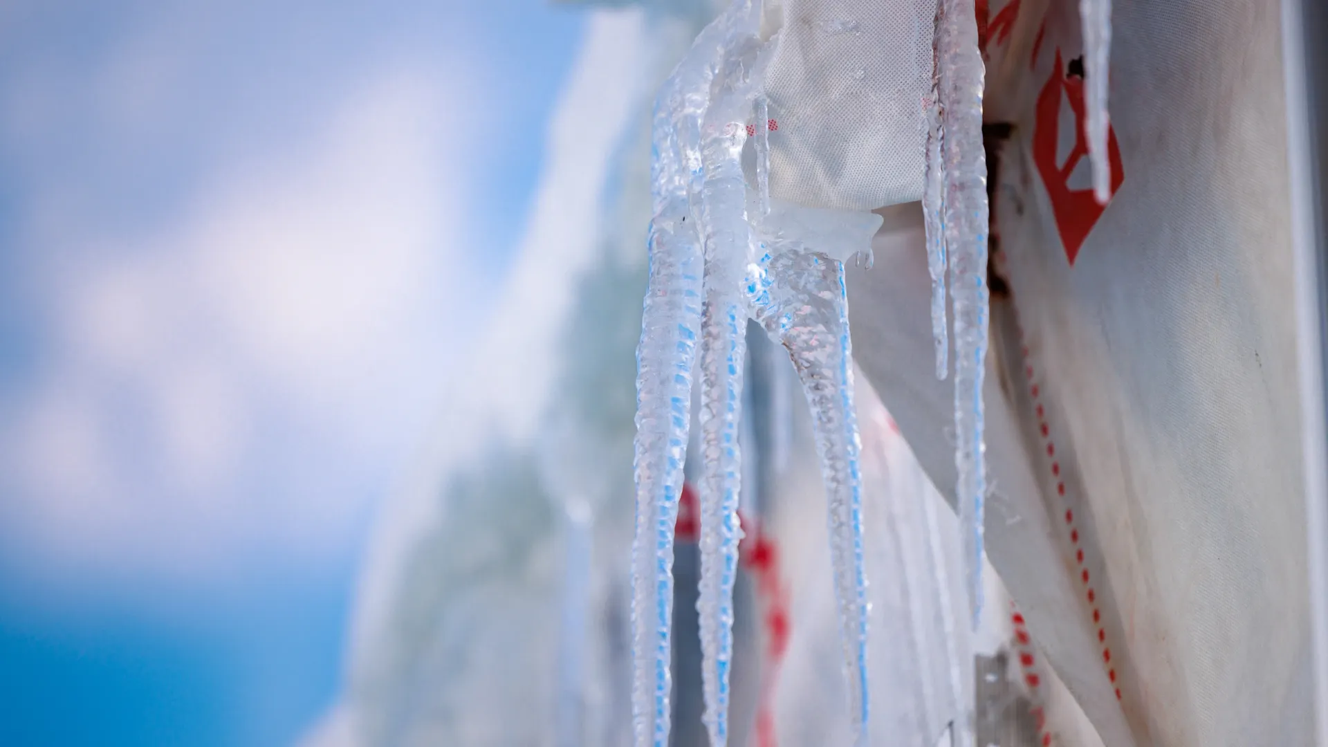 Фото: Федор Воронов / «Ямал-Медиа»