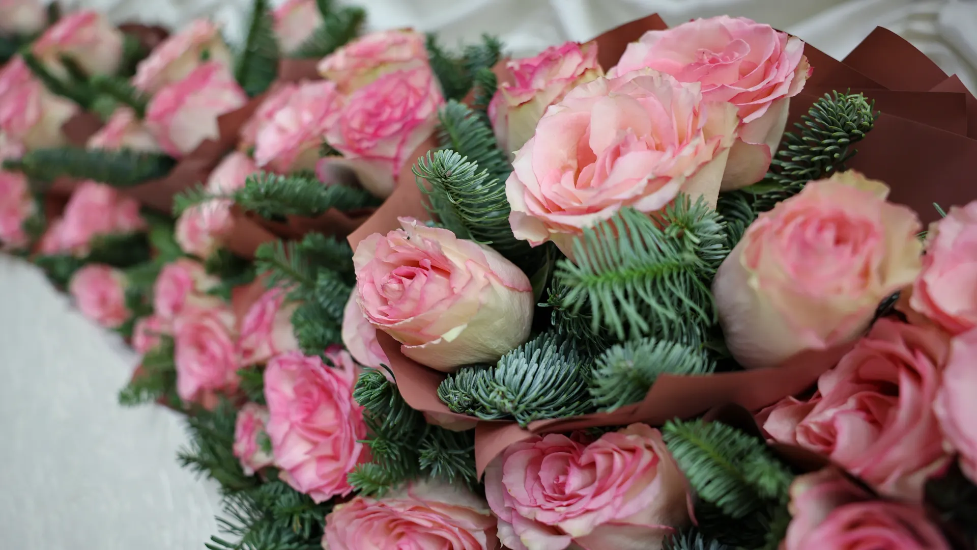 Фото: Андрей Ткачев / «Ямал-Медиа»