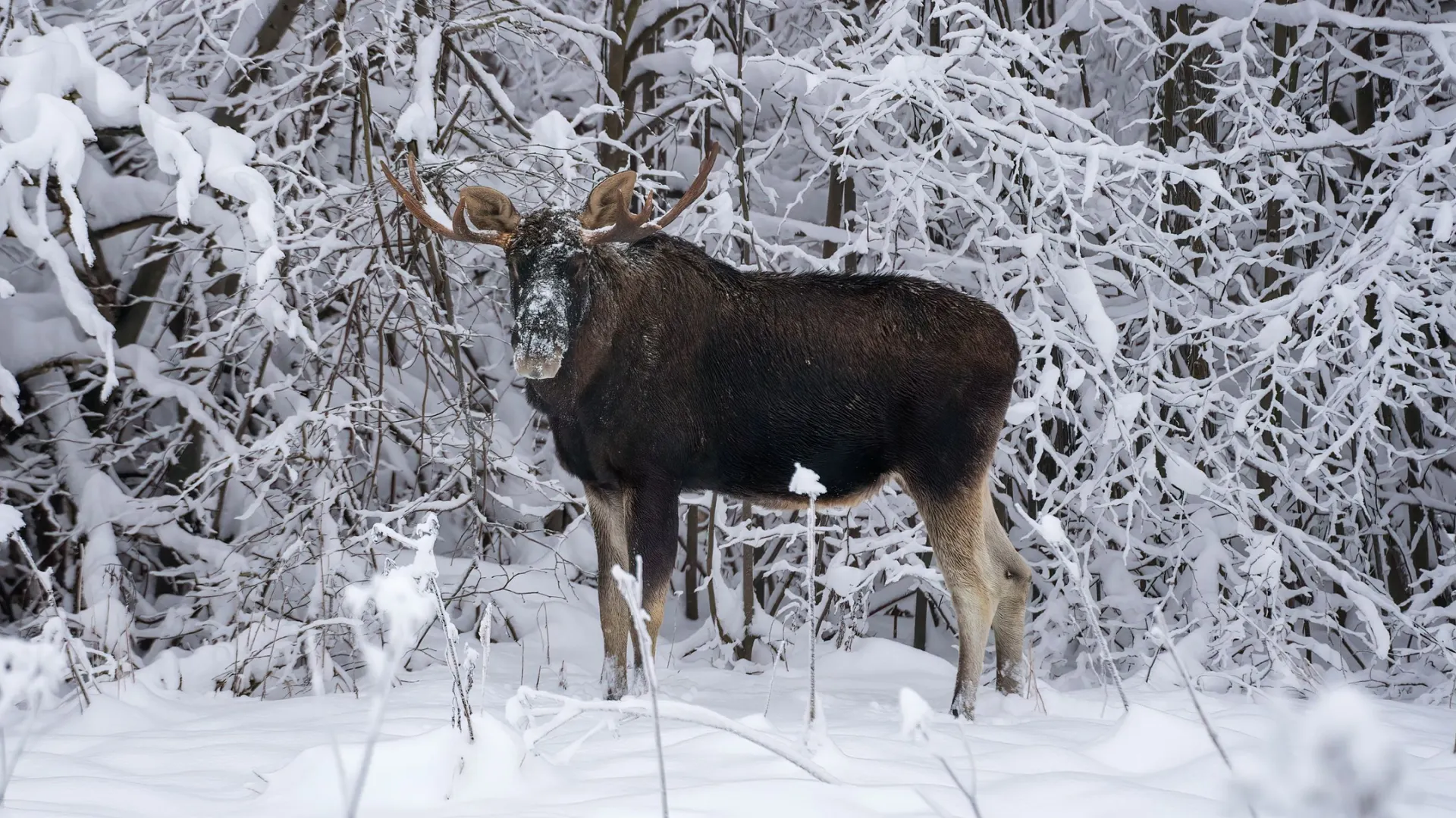 Фото: Tia Gata / Shutterstock / Fotodom