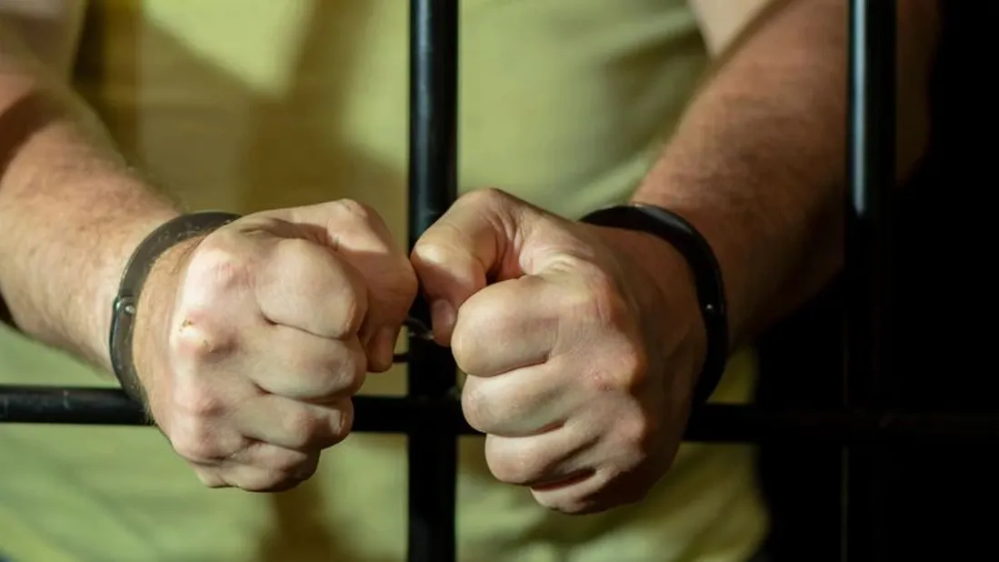 Фото: Anelo / Shutterstock / Fotodom