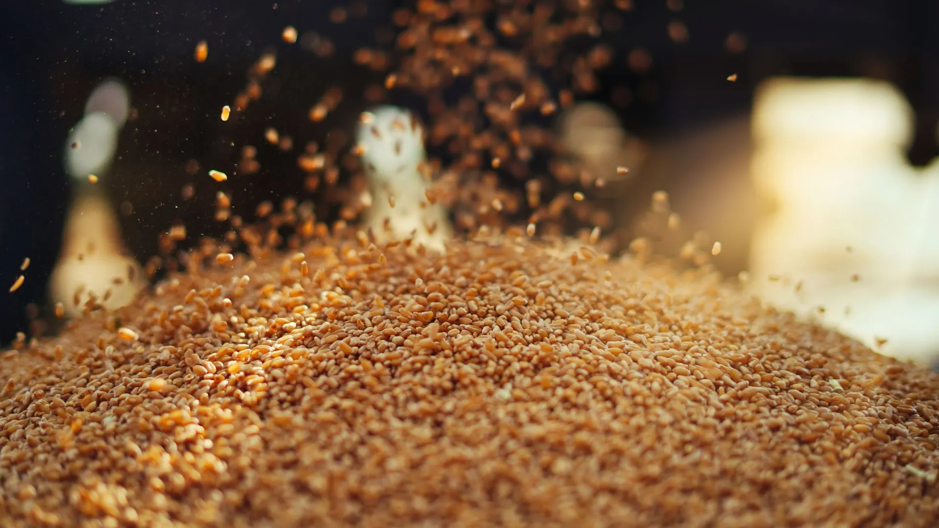 Фото: Azay photography / Shutterstock / Fotodom