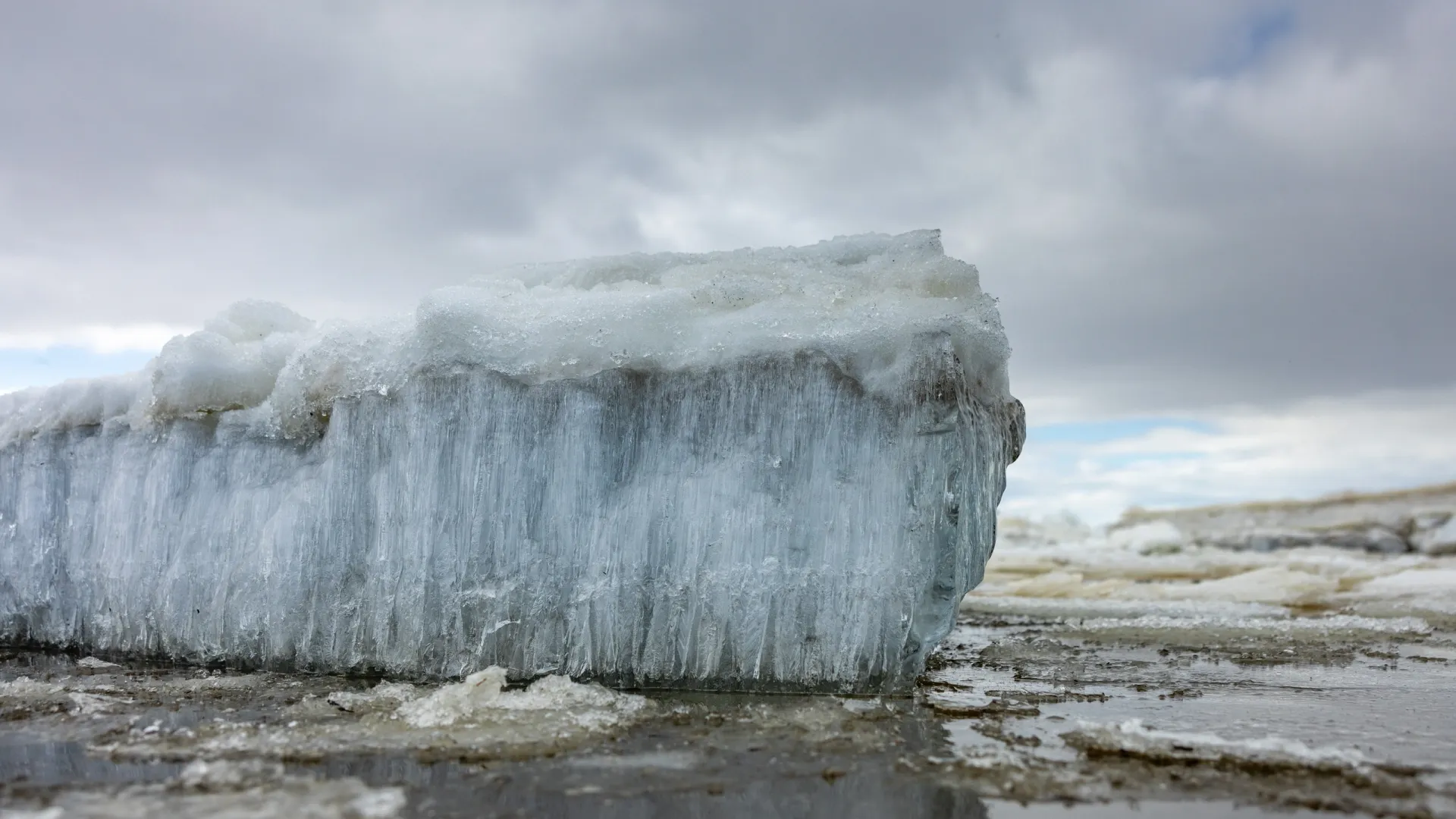Фото: Федор Воронов / «Ямал-Медиа»