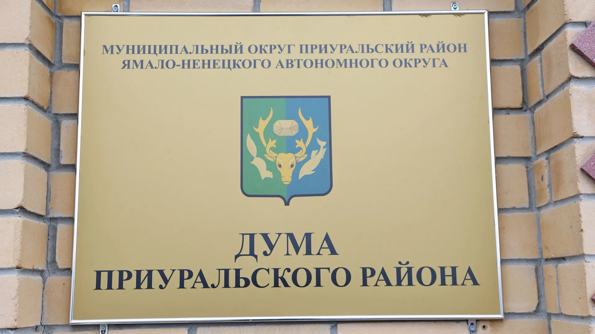 Фото: Андрей Ткачев / «Ямал-Медиа»