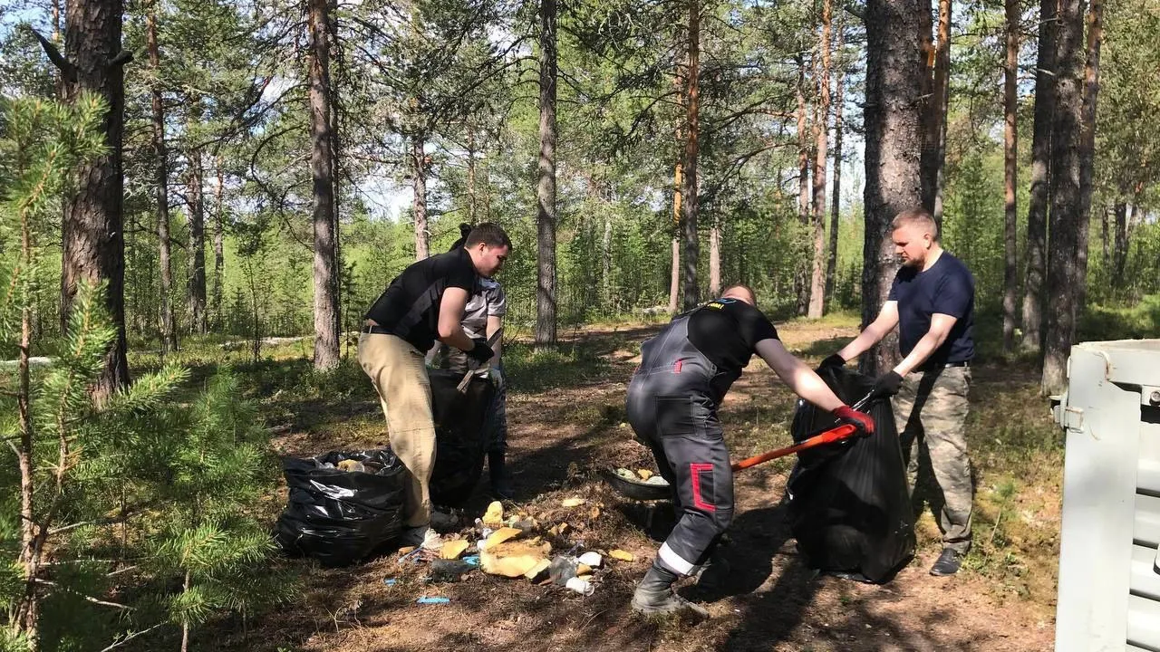 Свалка в лесу превратилась в живописное место в Ноябрьске. Фото предоставлено департаментом природных ресурсов ЯНАО