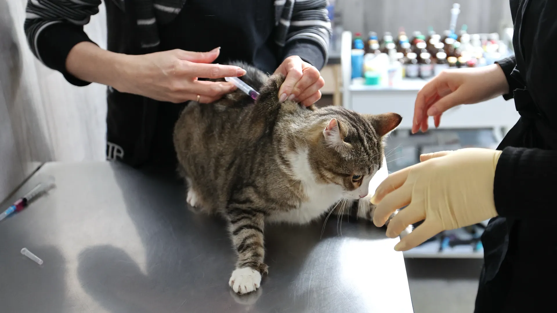 Фото: Андрей Ткачев / «Ямал-Медиа»