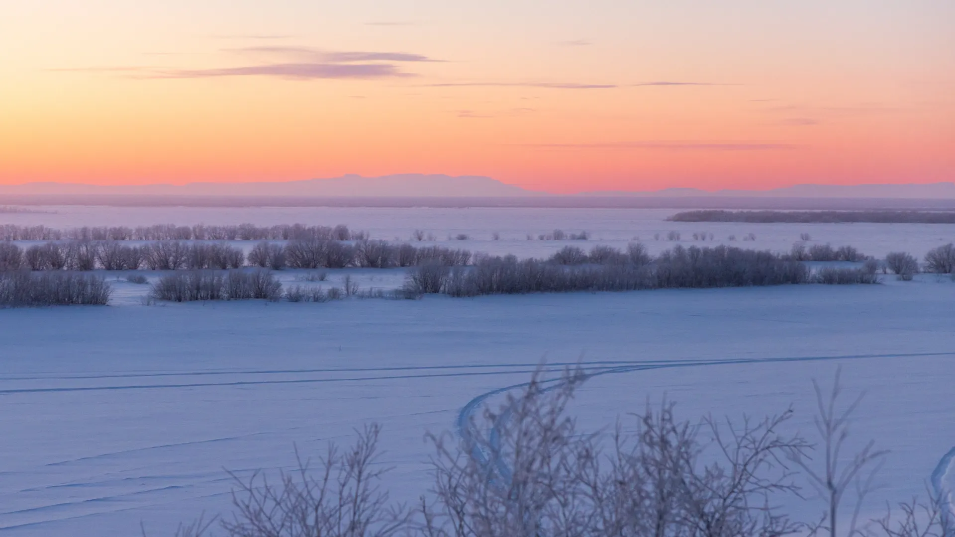 Фото: Федор Воронов / «Ямал-Медиа»