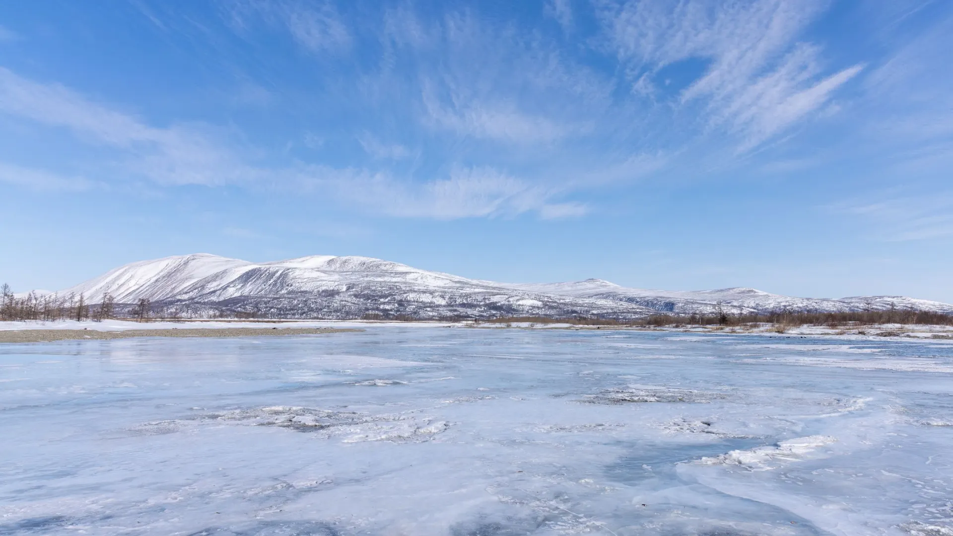 Фото: Фёдор Воронов / «Ямал-Медиа»