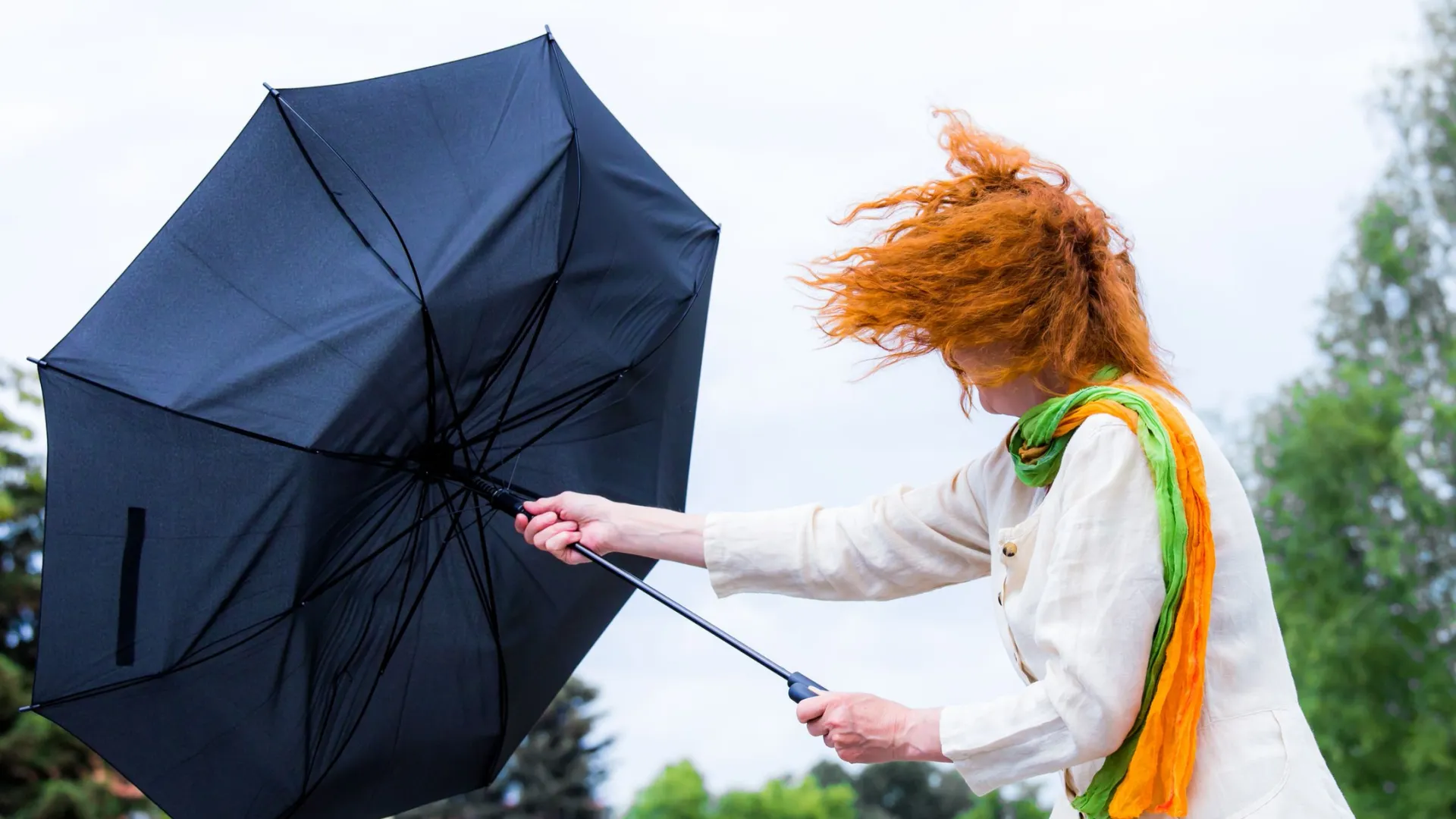 Белый вбирает другие цвета. Фото: Rainer Fuhrmann / Shutterstock / Fotodom