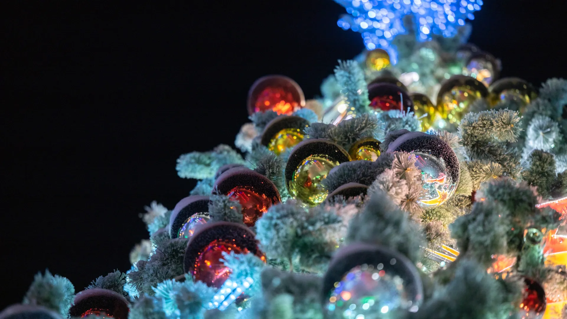 Фото: Федор Воронов / "Ямал-Медиа"