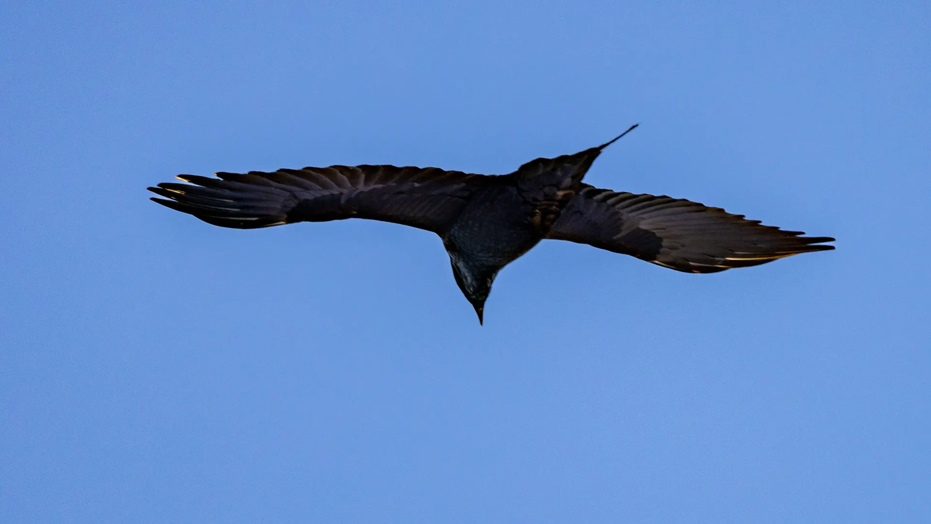 Фото: Федор Воронов / "Ямал-Медиа"