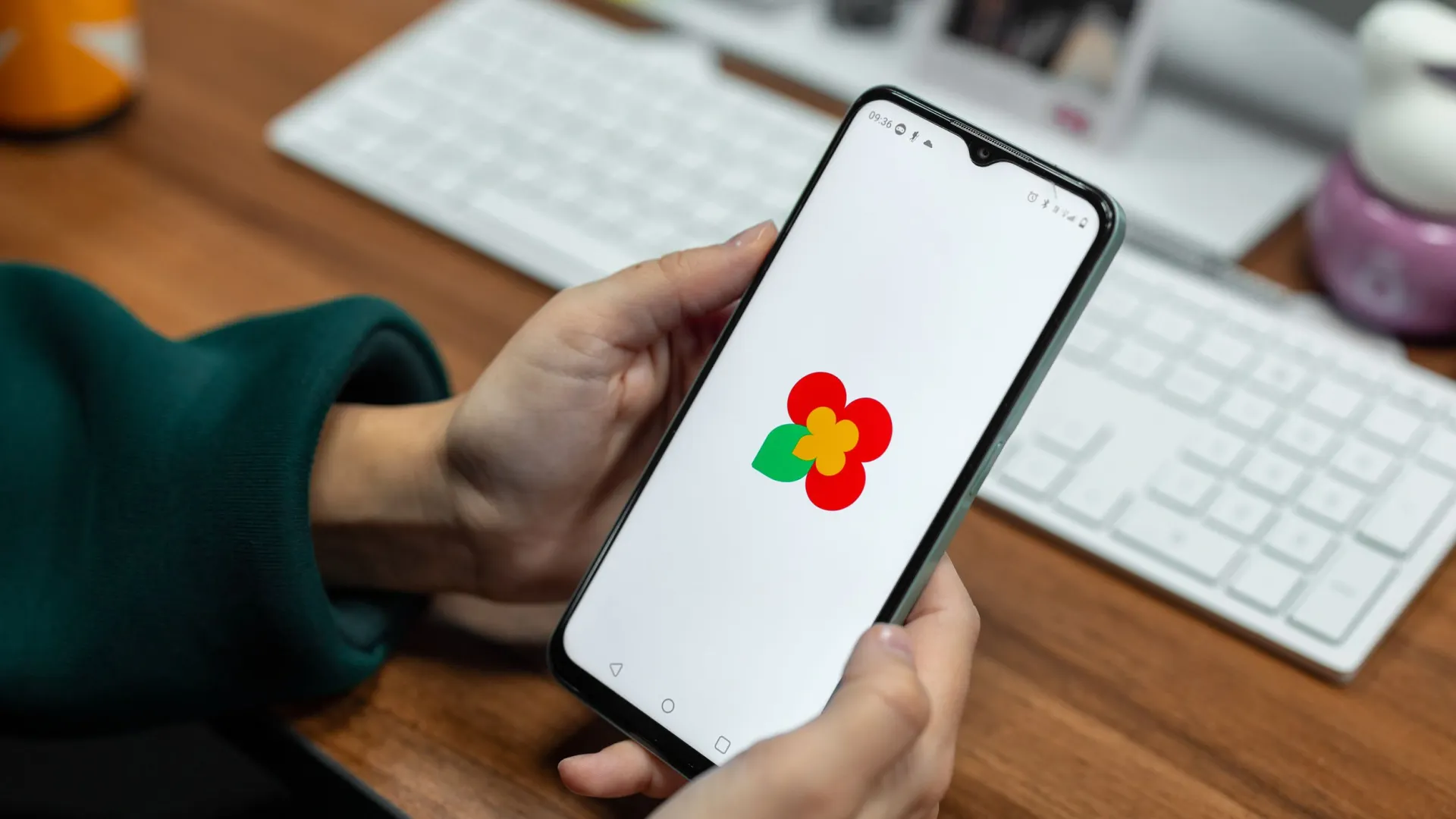 Фото: Сергей Зубков / «Ямал-Медиа»