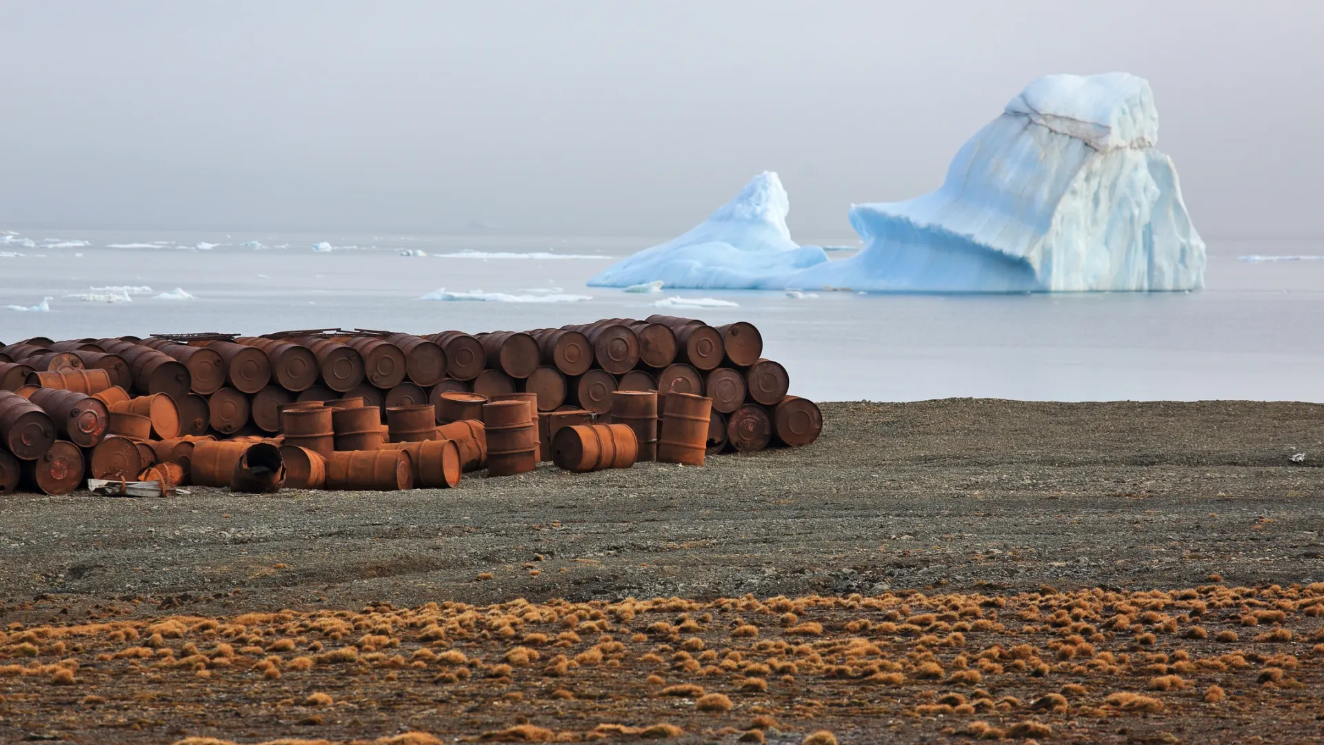 Фото: Vladimir Melnik / Shutterstock / Fotodom