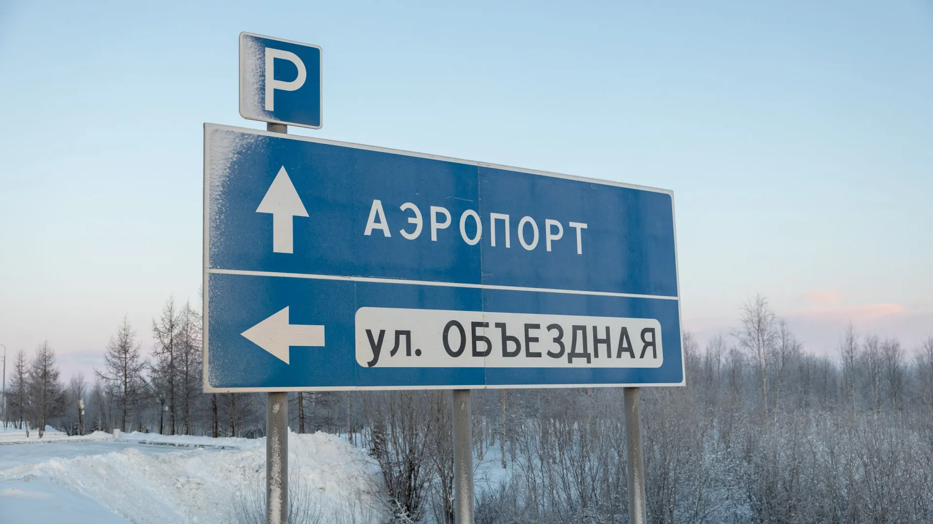 Фото: Федор Воронов / «Ямал-Медиа»