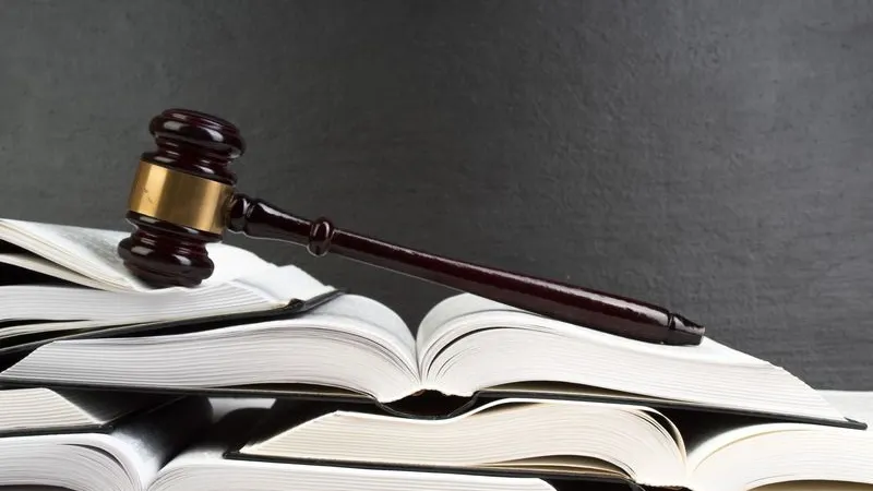 Фото: Lana U / Shutterstock / Fotodom