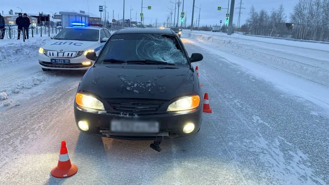 Фото предоставлено пресс-службой Госавтоинспекции Нового Уренгоя 