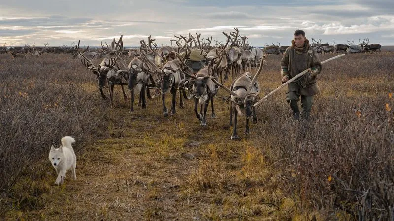 Фото: Федор Воронов / «Ямал-Медиа»