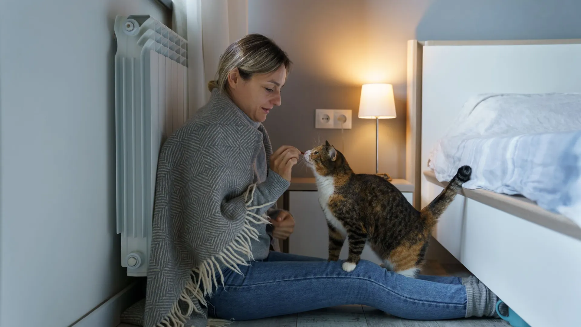 Фото: DimaBerlin/Shutterstock/Fotodom