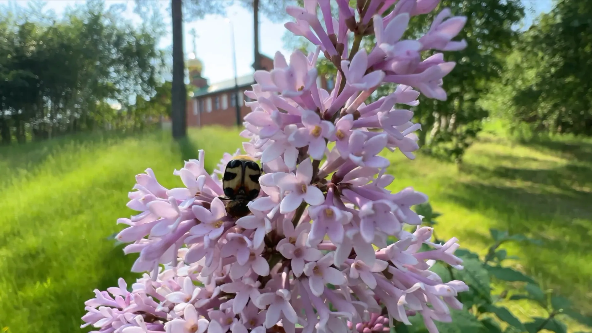 Фото: кадр из видео «Ямал-Медиа»