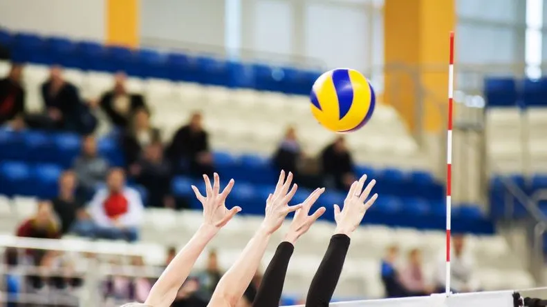 Фото: PhotoProCorp/Shutterstock/Fotodom