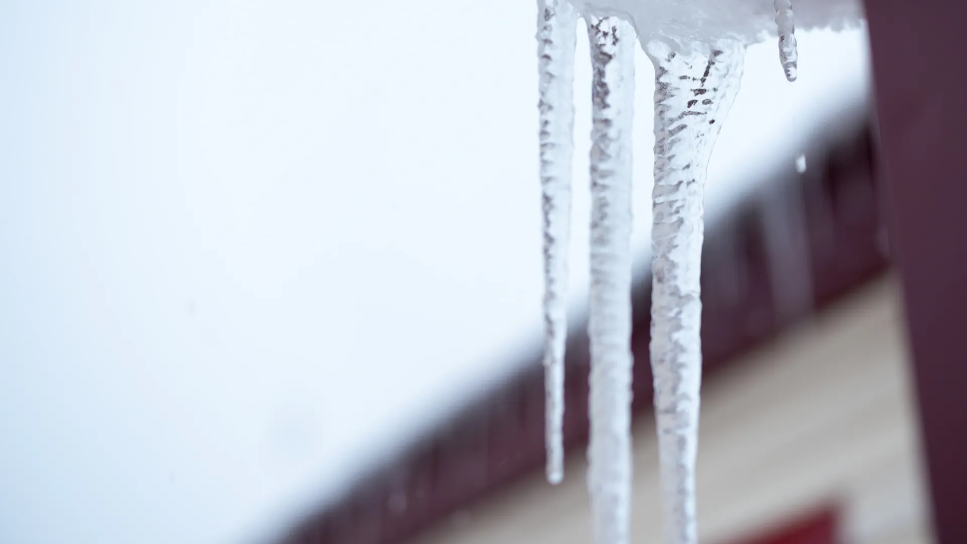 Фото: Юлия Чудинова / «Ямал-Медиа»