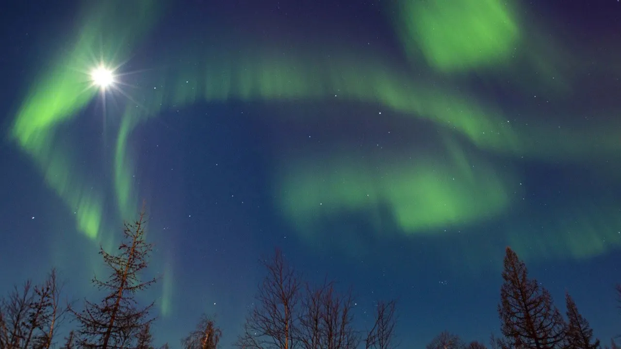 Фото: личный архив Олеси Ячушко