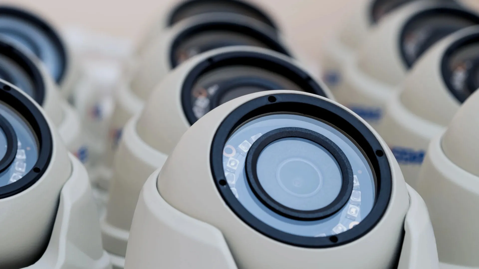 Фото: Picvario / Shutterstock / Fotodom