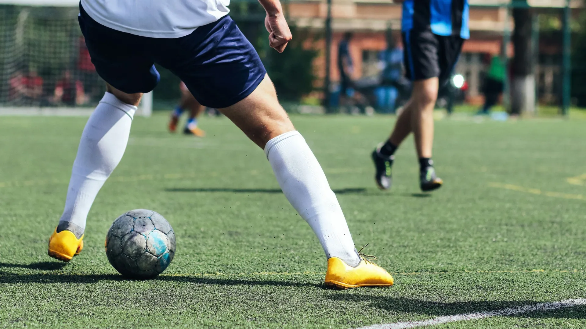 Фото: Nick Livyi / Shutterstock / Fotodom