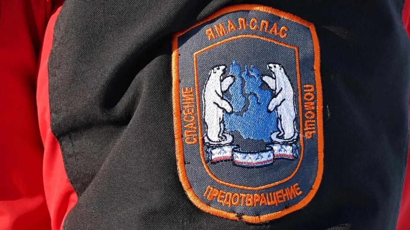 Фото: Андрей Ткачев / «Ямал-Медиа»