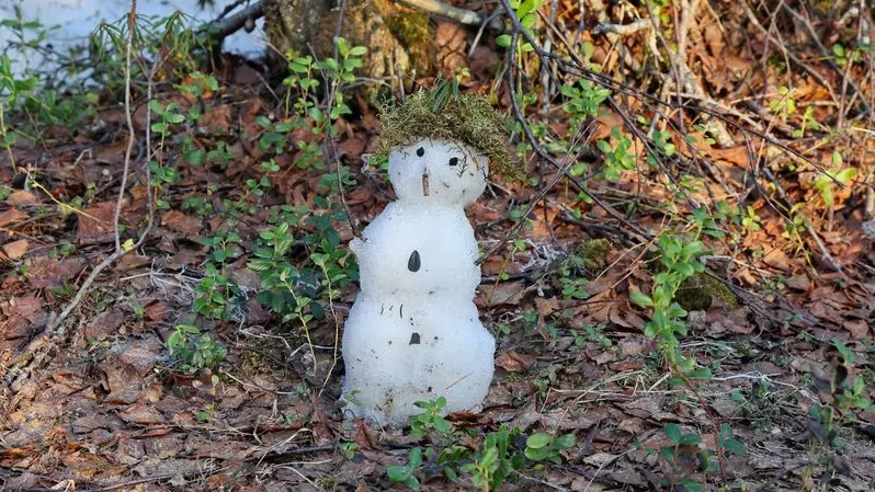 Фото: Андрей Ткачев / «Ямал-Медиа»