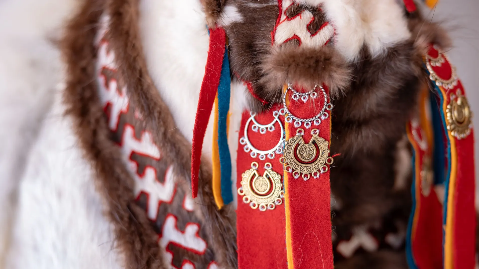 Фото: Сергей Зубков / «Ямал-Медиа»