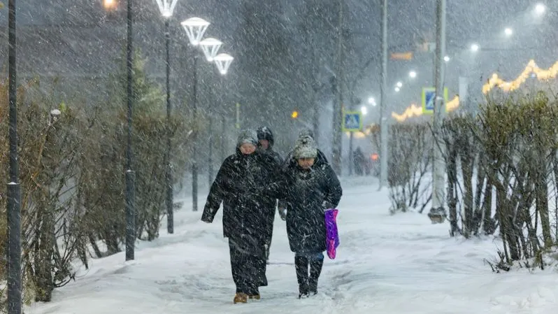 Фото: Федор Воронов / «Ямал-Медиа»
