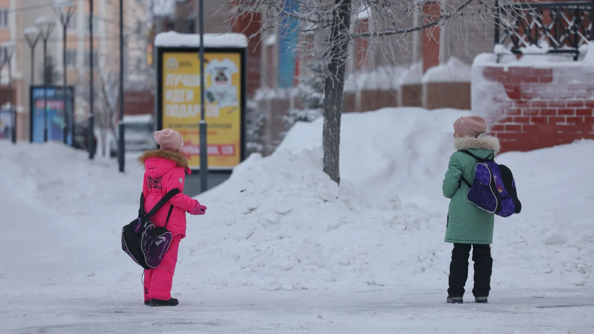 Фото: Андрей Ткачев / «Ямал-Медиа»