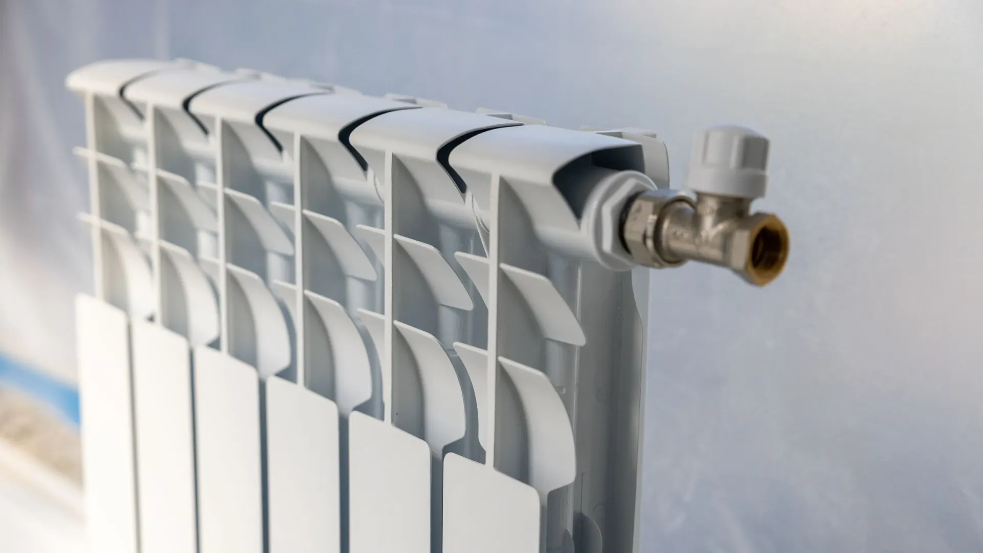 Фото: Федор Воронов / «Ямал-Медиа»