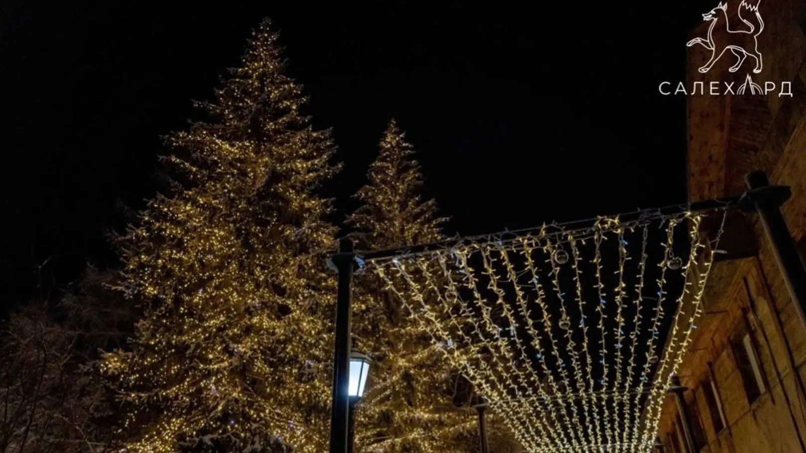 Фото: t.me/salekhard_admin